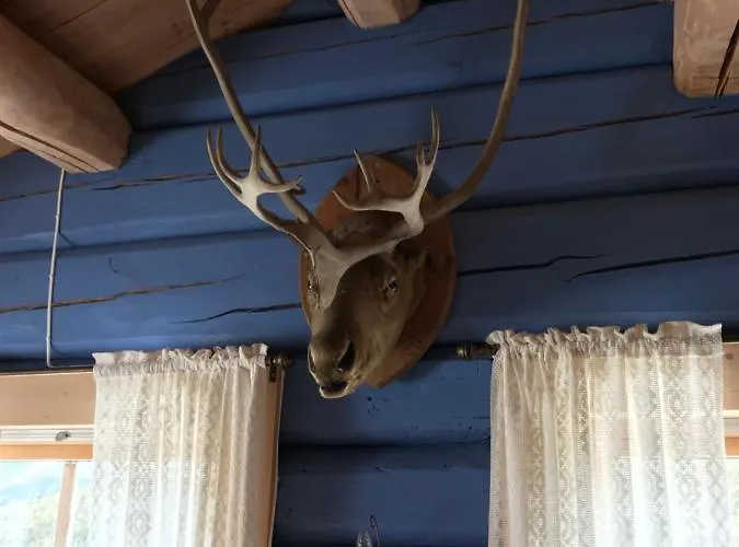 Otel Fagerli Fjellgard *