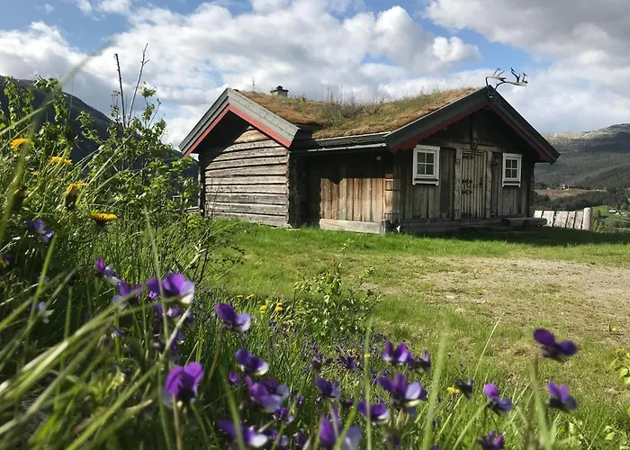 Fagerli Fjellgard 酒店 霍夫灵恩